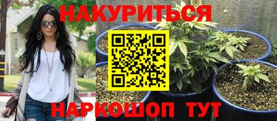 каннабис Краснодар